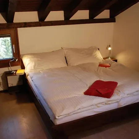 Arnica 4