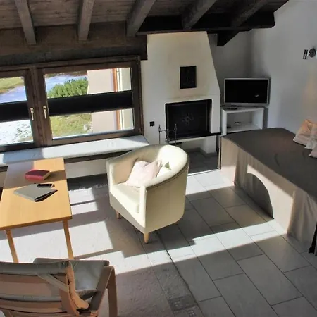 Arnica 4 * La Punt-Chamues-ch
